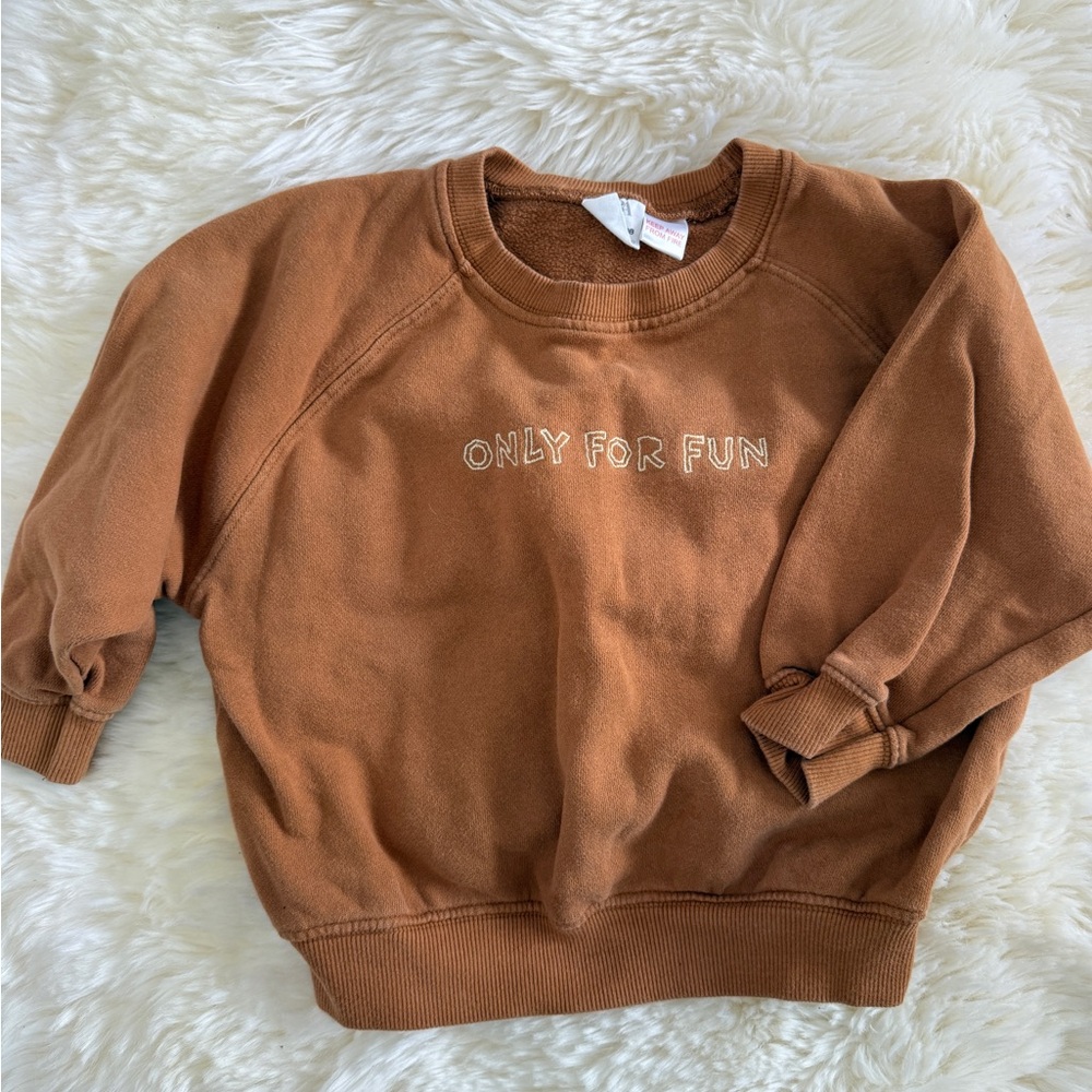 Zara Brown Sweatshirt with Fun Embroidery Size 2/3 Boy or Girl